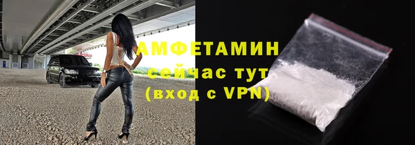 ECSTASY Бородино