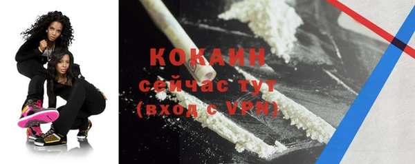 ECSTASY Бородино