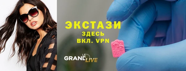 ECSTASY Бородино