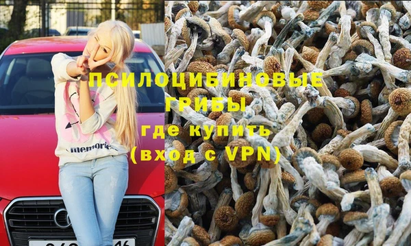 spice Бугульма