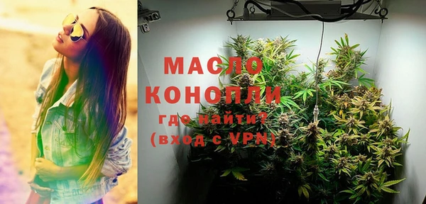 ECSTASY Бородино