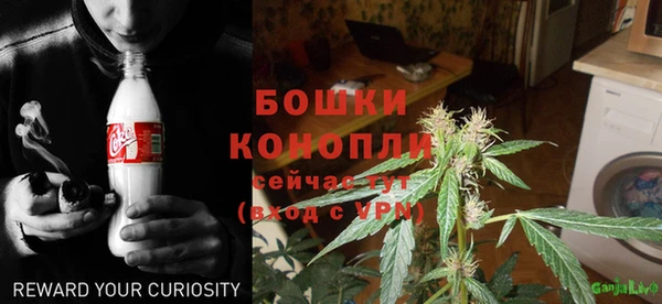 ECSTASY Бородино