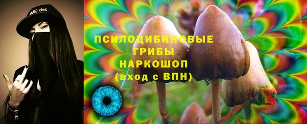 spice Бугульма